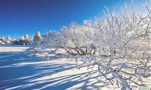 长春天气30天预报查询_长春天气30天查询结果最新消息